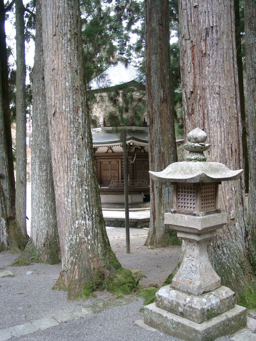 ����R�̑剾��