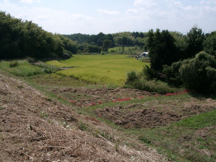 �k�E�R�̕ӂ̓�