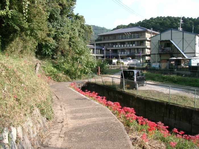 �k�E�R�̕ӂ̓�