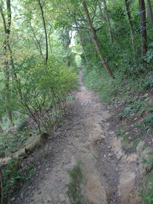 �����X��