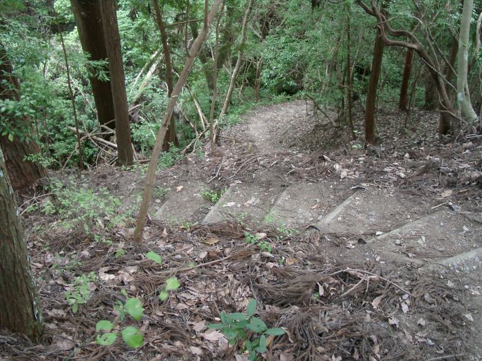 �����X��