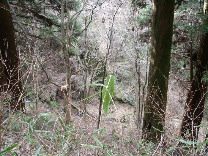 ����R���Γ�