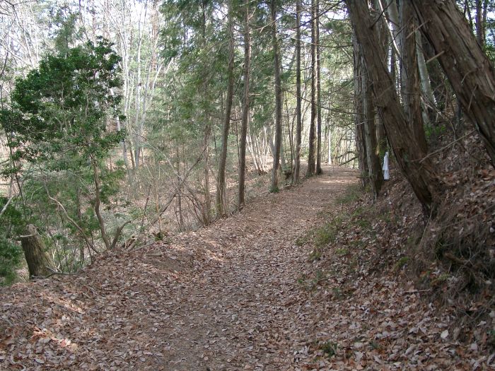 ����R���Γ�