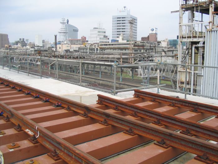 �啪�w����