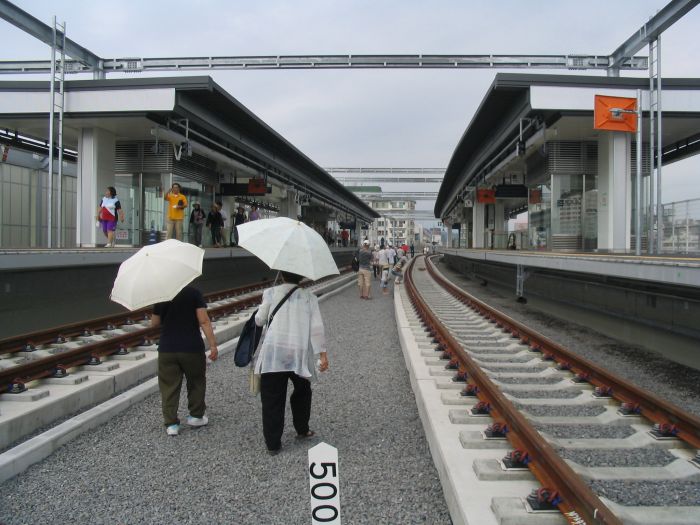 �啪�w����